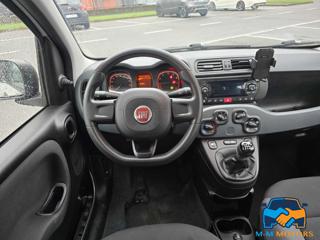 FIAT Panda usata 12