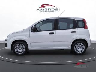 FIAT Panda usata 5
