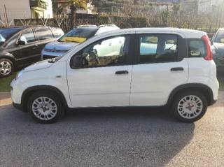 FIAT Panda usata, con Antifurto