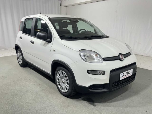 FIAT Panda usata, con Controllo trazione