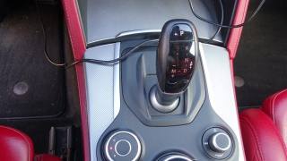 ALFA ROMEO Stelvio usata 113