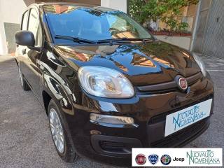 FIAT Panda usata, con Alzacristalli elettrici