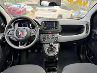 FIAT Panda usata, con Climatizzatore