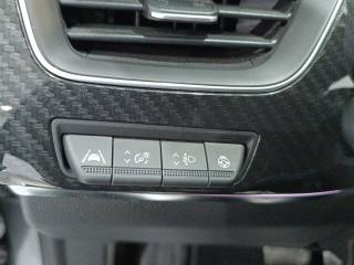 RENAULT Arkana usata, con Fari LED