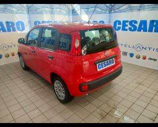 FIAT New Panda usata, con Airbag Passeggero
