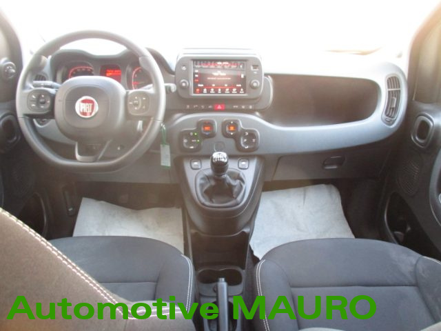 FIAT Panda Cross usata, con Airbag testa