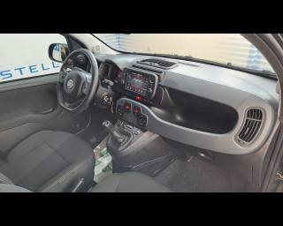 FIAT New Panda usata 22