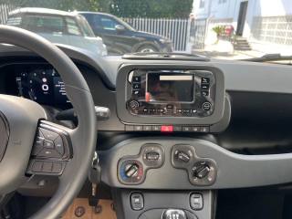 FIAT Panda usata, con Isofix