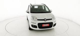 FIAT Panda usata 33