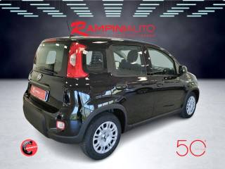FIAT Panda usata 6