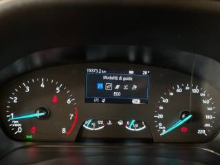 FORD Puma usata, con Vetri oscurati