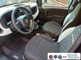 FIAT Panda usata, con Filtro antiparticolato