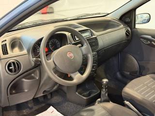 FIAT Punto usata 12