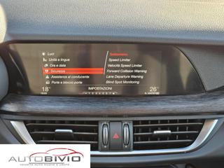 ALFA ROMEO Stelvio usata, con Cronologia tagliandi