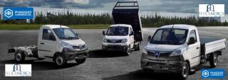PIAGGIO Porter NP6 usata, con ESP