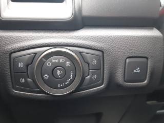 FORD Ranger Raptor usata, con Fendinebbia