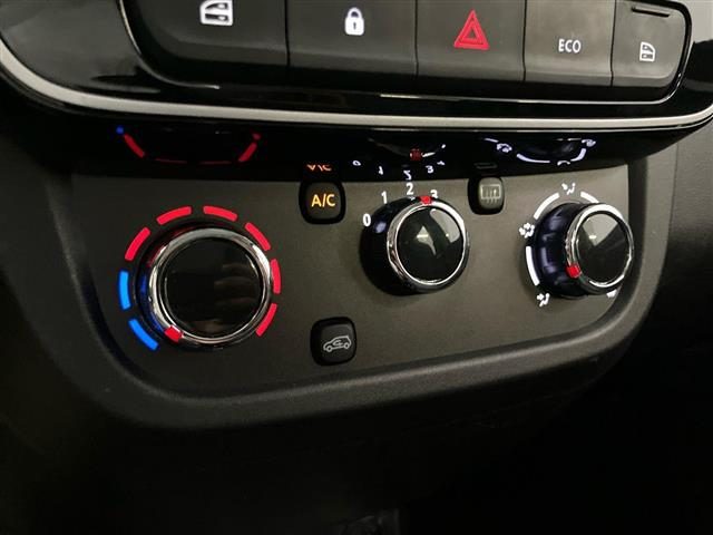DACIA Spring usata 21
