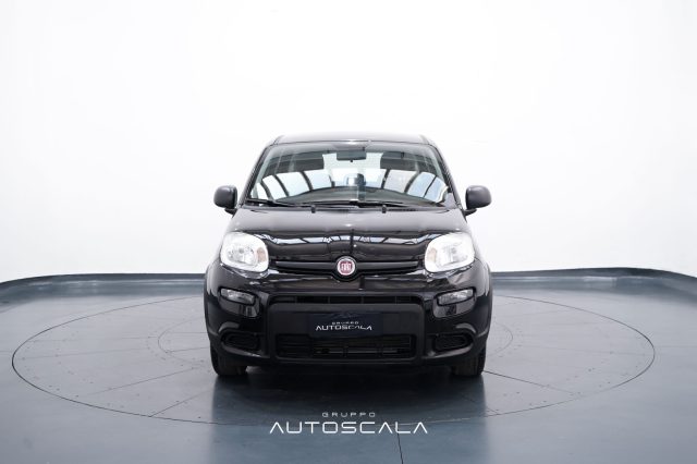 FIAT New Panda usata, con Airbag