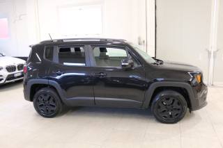JEEP Renegade usata, con Boardcomputer