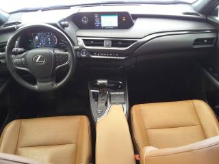 LEXUS UX 250h usata, con Cruise Control