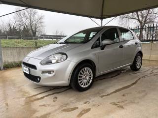 FIAT Punto 1.2 8V 5 porte Street POCHI CHILOMETRI EURO 6