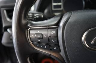 LEXUS UX 250h usata 29