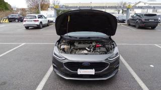 FORD Focus usata 122