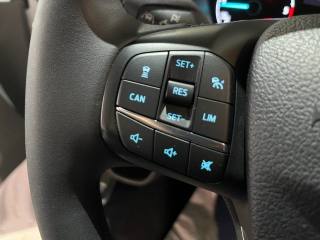 FORD Transit Custom usata, con Touch screen