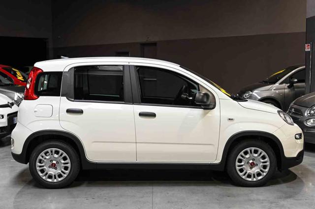 FIAT Panda usata, con Alzacristalli elettrici