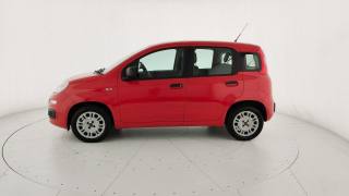 FIAT Panda usata 30