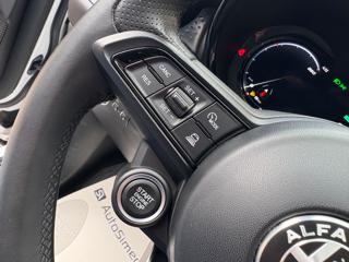 ALFA ROMEO Tonale usata, con Park Distance Control