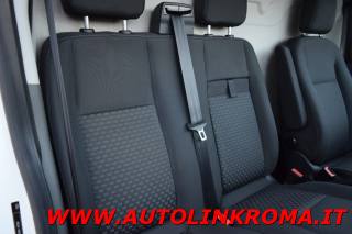 FORD Transit usata, con Fendinebbia
