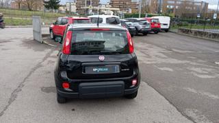 FIAT Panda usata, con Antifurto