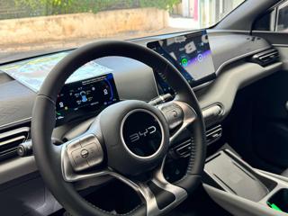 BYD Dolphin Surf usata, con Park Distance Control