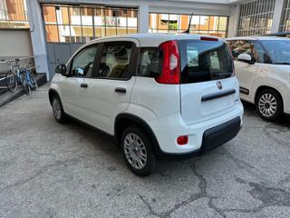 FIAT Panda usata, con Climatizzatore