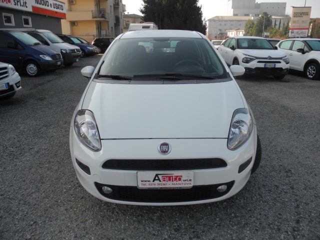 FIAT Punto usata 61