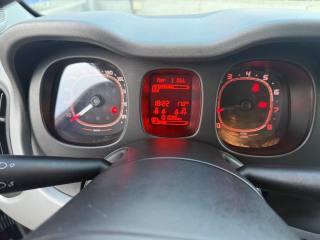 FIAT Panda usata 14
