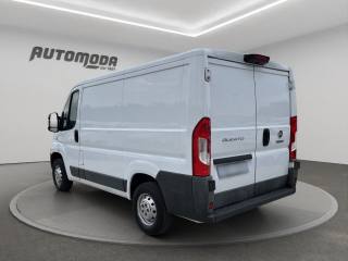 FIAT Ducato usata, con Servosterzo