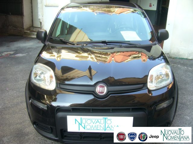 FIAT Panda usata, con Antifurto