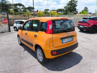 FIAT Panda usata 3