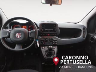 FIAT Panda usata 14