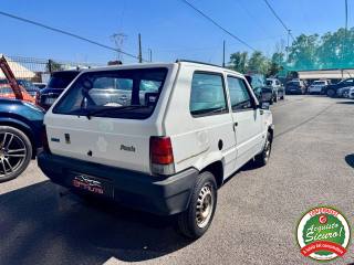 FIAT Panda usata 2