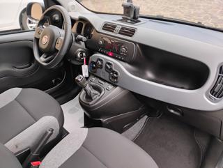 FIAT Panda usata, con Immobilizzatore elettronico