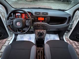 FIAT New Panda usata, con Cronologia tagliandi