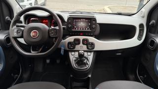 FIAT Panda Cross usata, con Antifurto