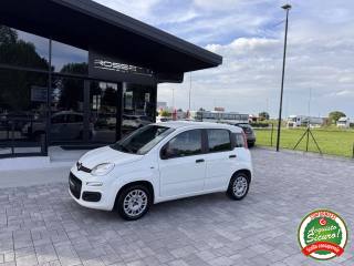 FIAT Panda usata, con Airbag laterali