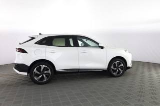 FORTHING Friday HEV usata 2