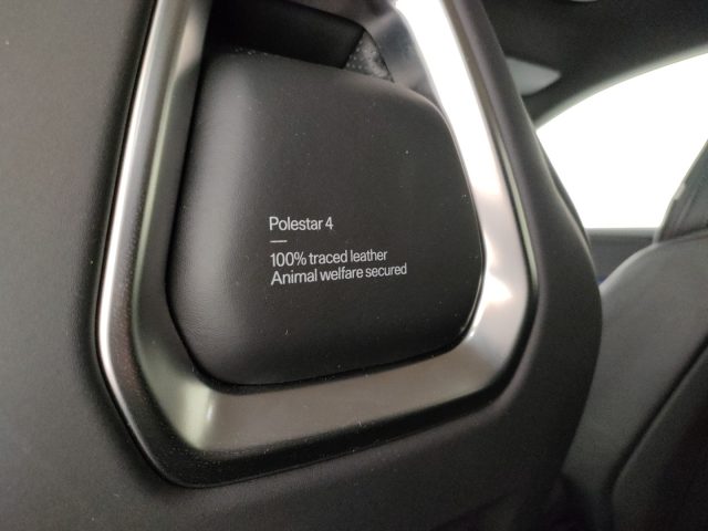 POLESTAR Polestar 4 usata, con Specchietti laterali elettrici