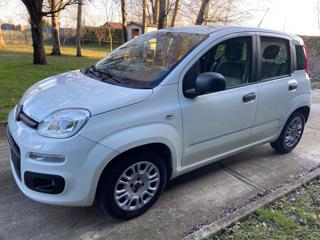 FIAT Panda 1.2 EasyPower Easy