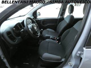 FIAT Panda usata, con Airbag testa